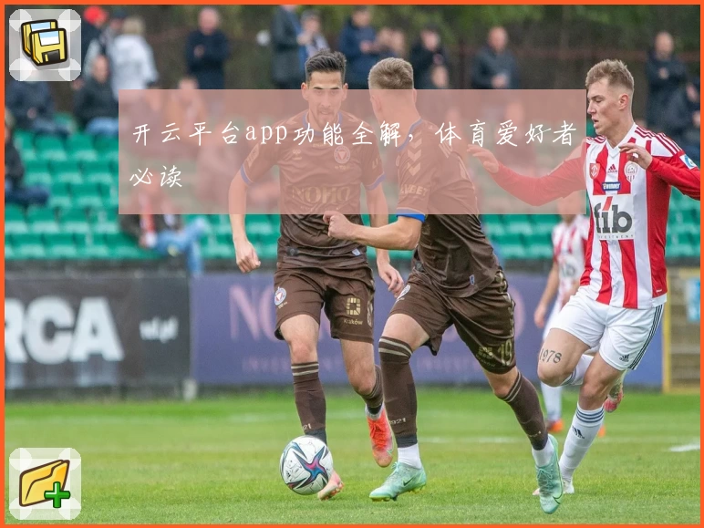 开云平台app功能全解，体育爱好者必读