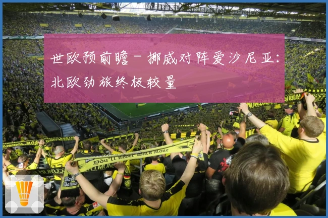 世欧预前瞻 - 挪威对阵爱沙尼亚：北欧劲旅终极较量