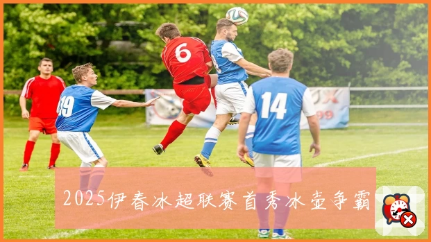 2025伊春冰超联赛首秀冰壶争霸
