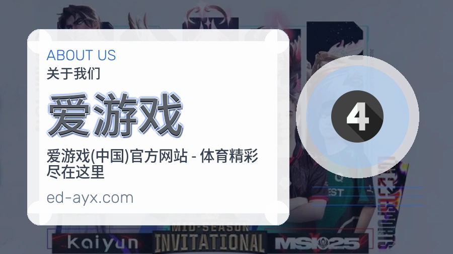 爱游戏看赛与资讯服务